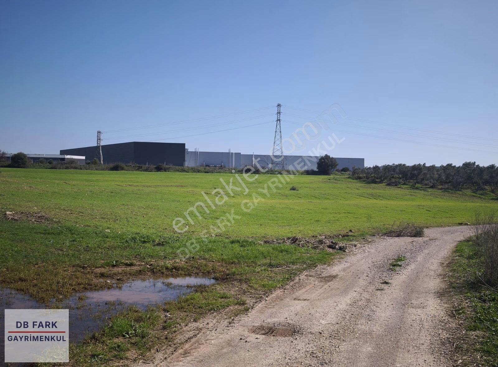 Sanayi Yakını Tek Tapu Satılık Zeytinlik - Görsel 16