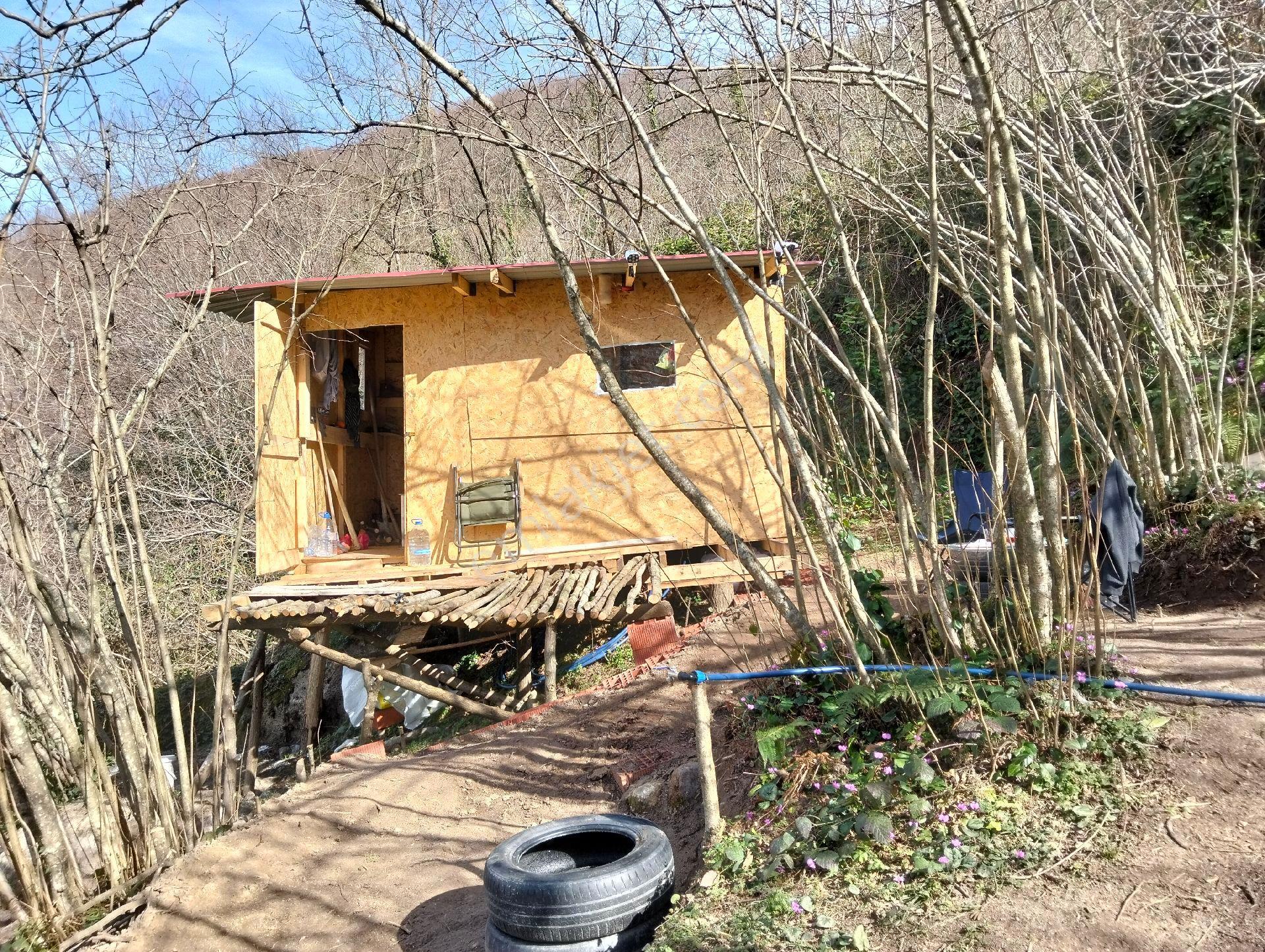 Fındık Bahçesi Ordu Perşembe - Görsel 14