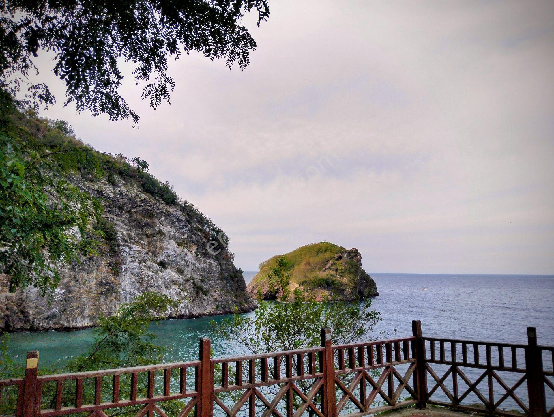 Fındık Bahçesi Ordu Perşembe - Görsel 8