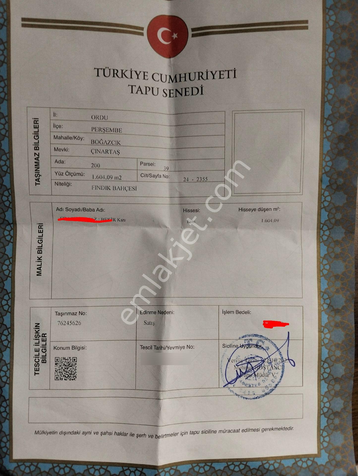 Fındık Bahçesi Ordu Perşembe - Görsel 4