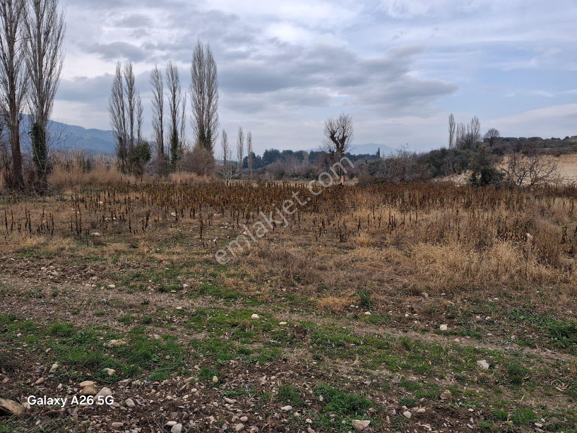 Satılık Verimli Tarla