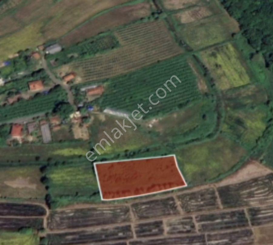 Görgülü Emlak Satıyor 550 M2 Arsa Acil Satılık