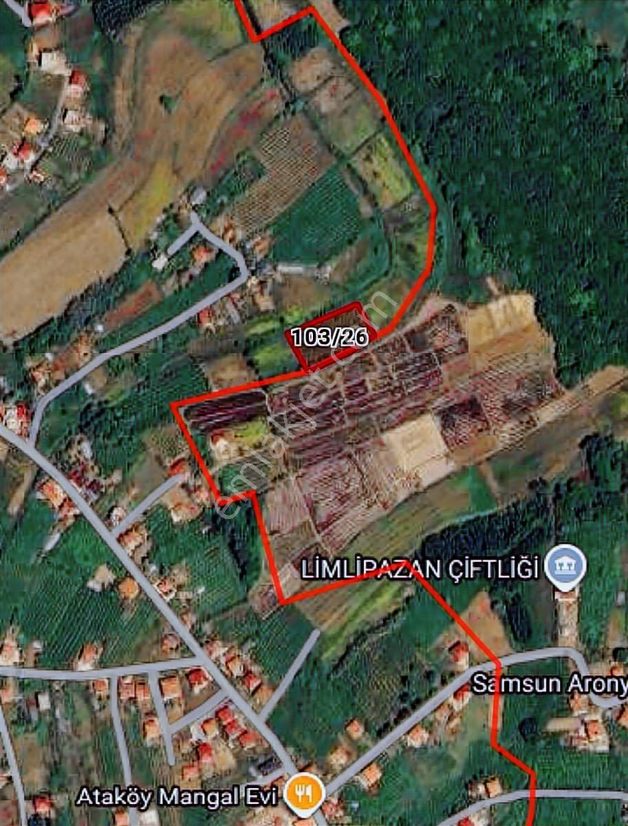 Görgülü Emlak Satıyor 550 M2 Arsa Acil Satılık - Görsel 5