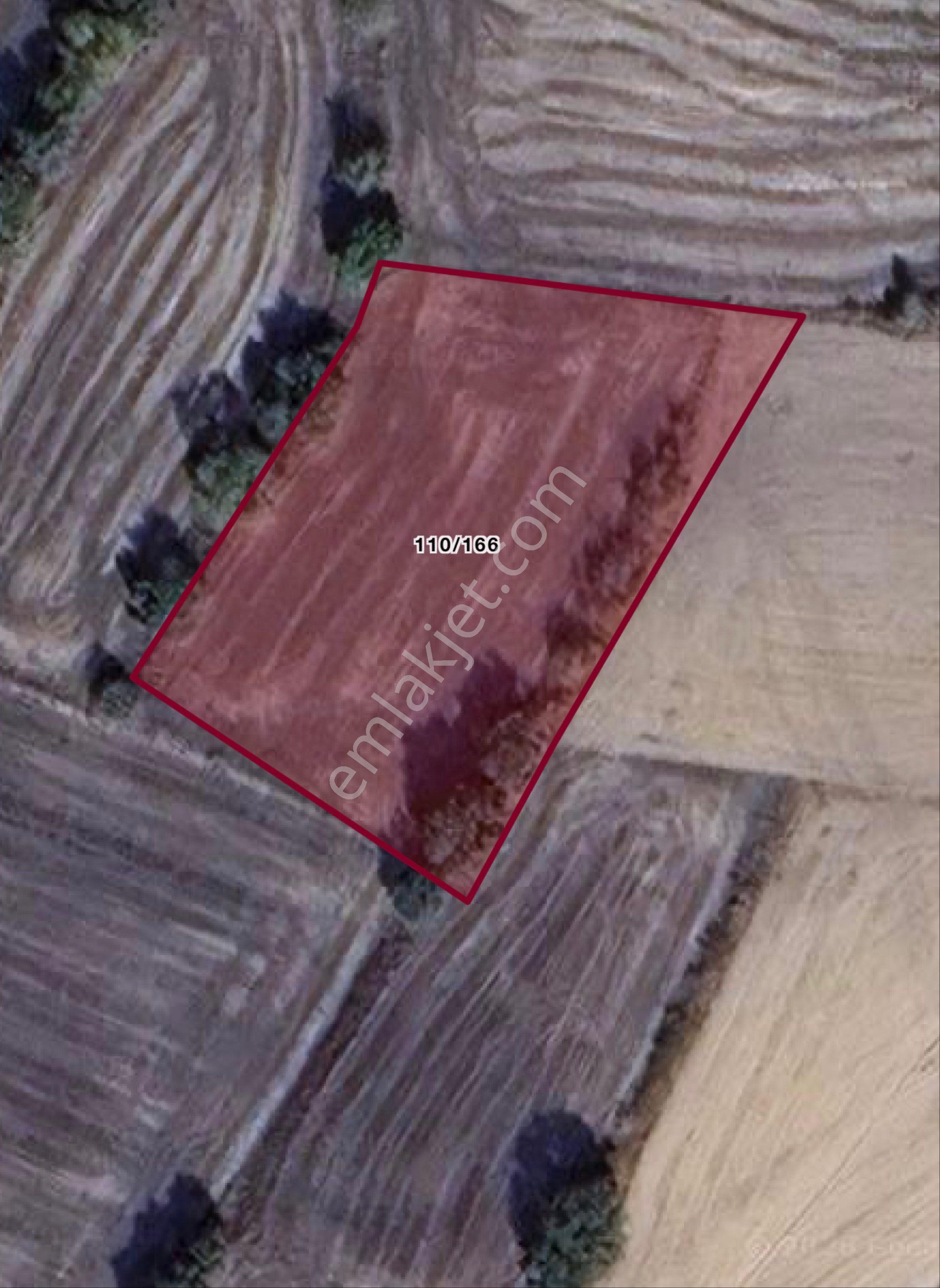 Lüleburgaz Çeşmekolu’nda-köye Çok Yakın-yatırımlık Arazi - Görsel 2