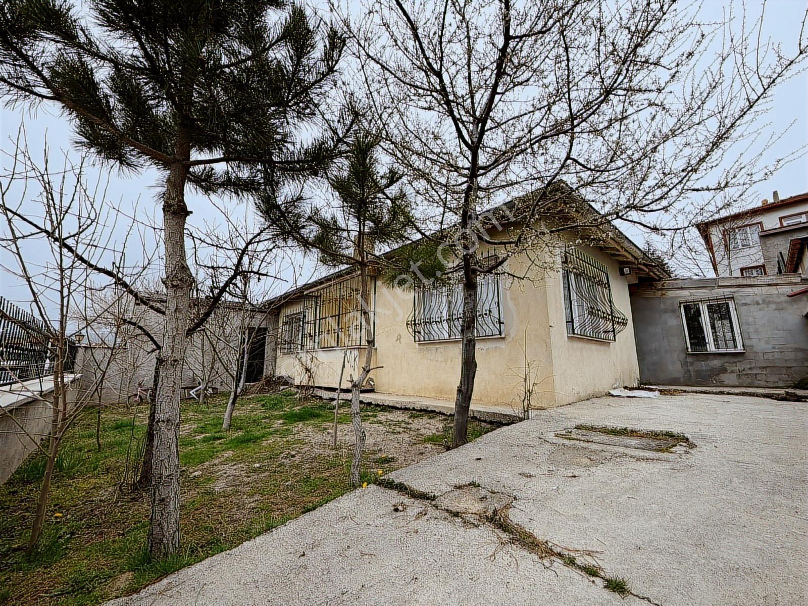 Bu Paraya Kaçmaz Acill - Görsel 9