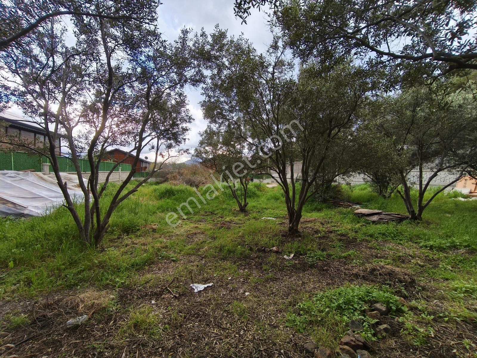Fethiye Yanıklarda Denize Yürüme Mesafesinde Satılık Tarla - Görsel 2