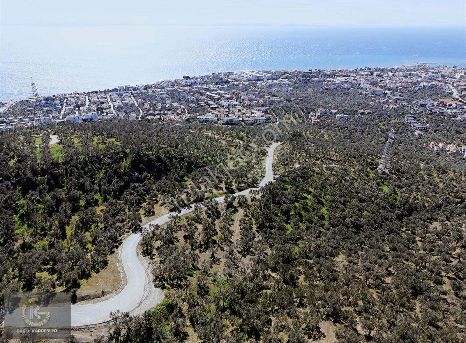 Tekyetki Güçlü Kardeşler Yola Cepheli Manzaralı Fırsat Zeytinlik - Görsel 5