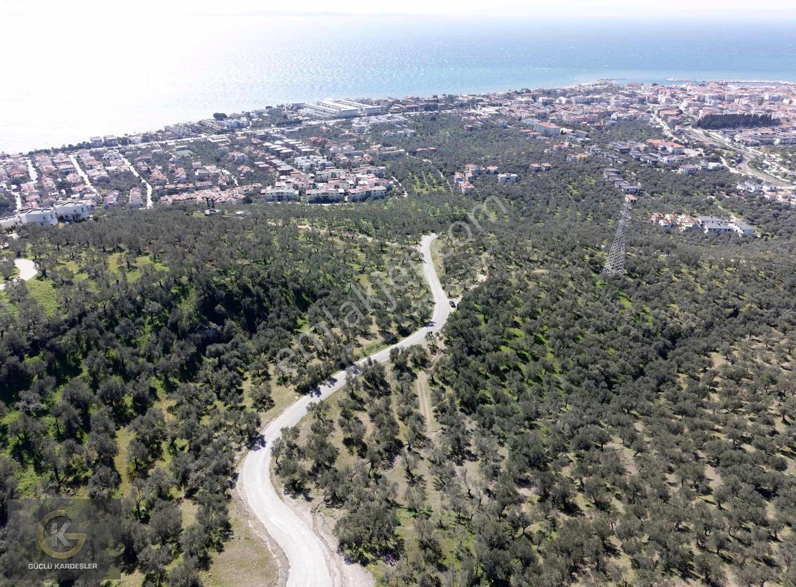 Tekyetki Güçlü Kardeşler Yola Cepheli Manzaralı Fırsat Zeytinlik - Görsel 7