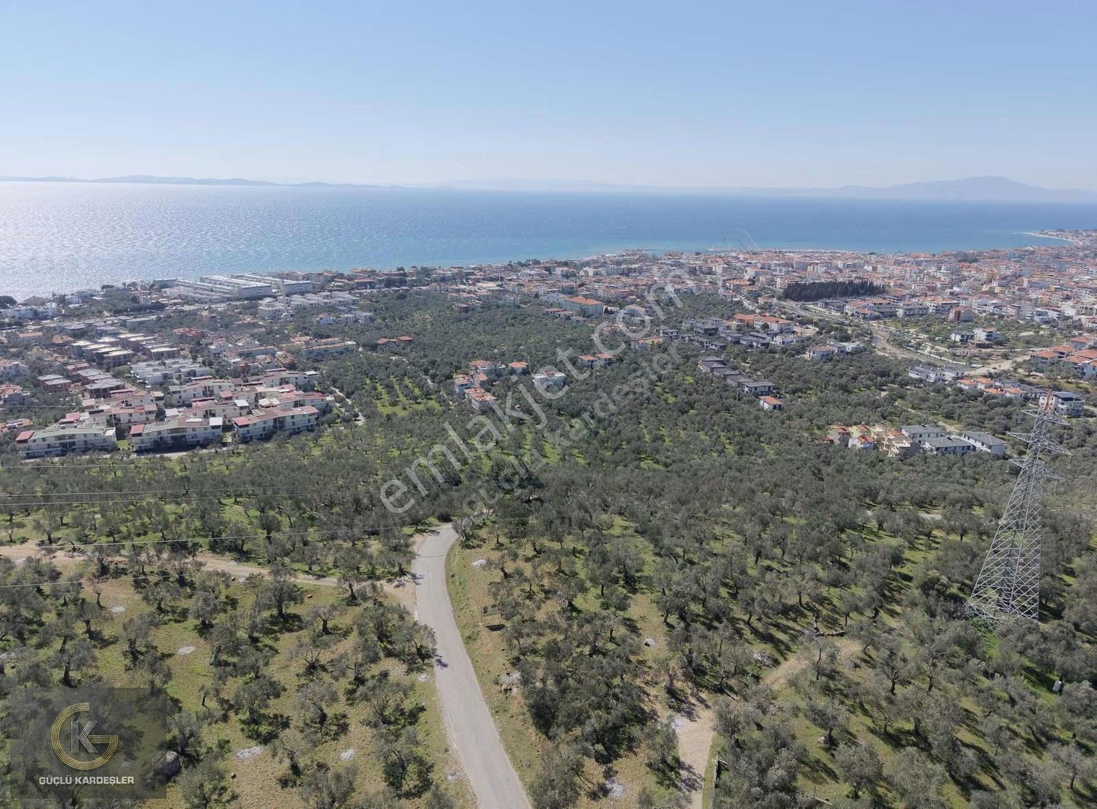 Tekyetki Güçlü Kardeşler Yola Cepheli Manzaralı Fırsat Zeytinlik - Görsel 16