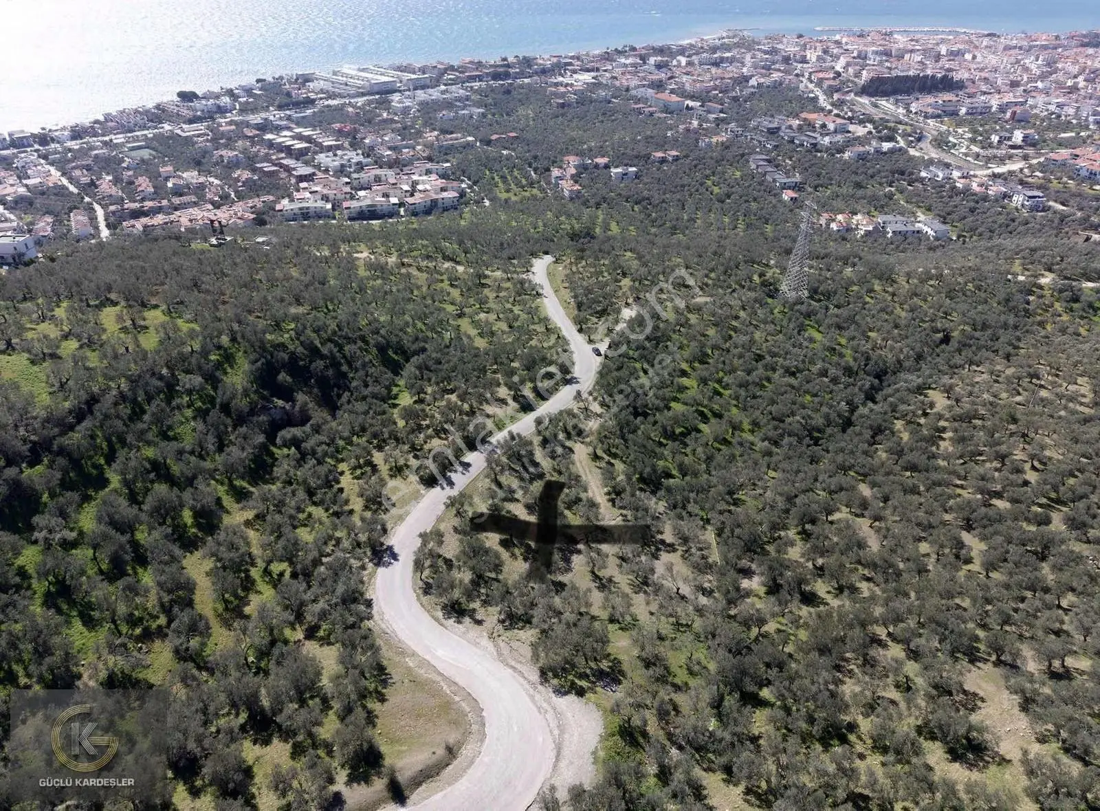 Tekyetki Güçlü Kardeşler Yola Cepheli Manzaralı Fırsat Zeytinlik - Görsel 12
