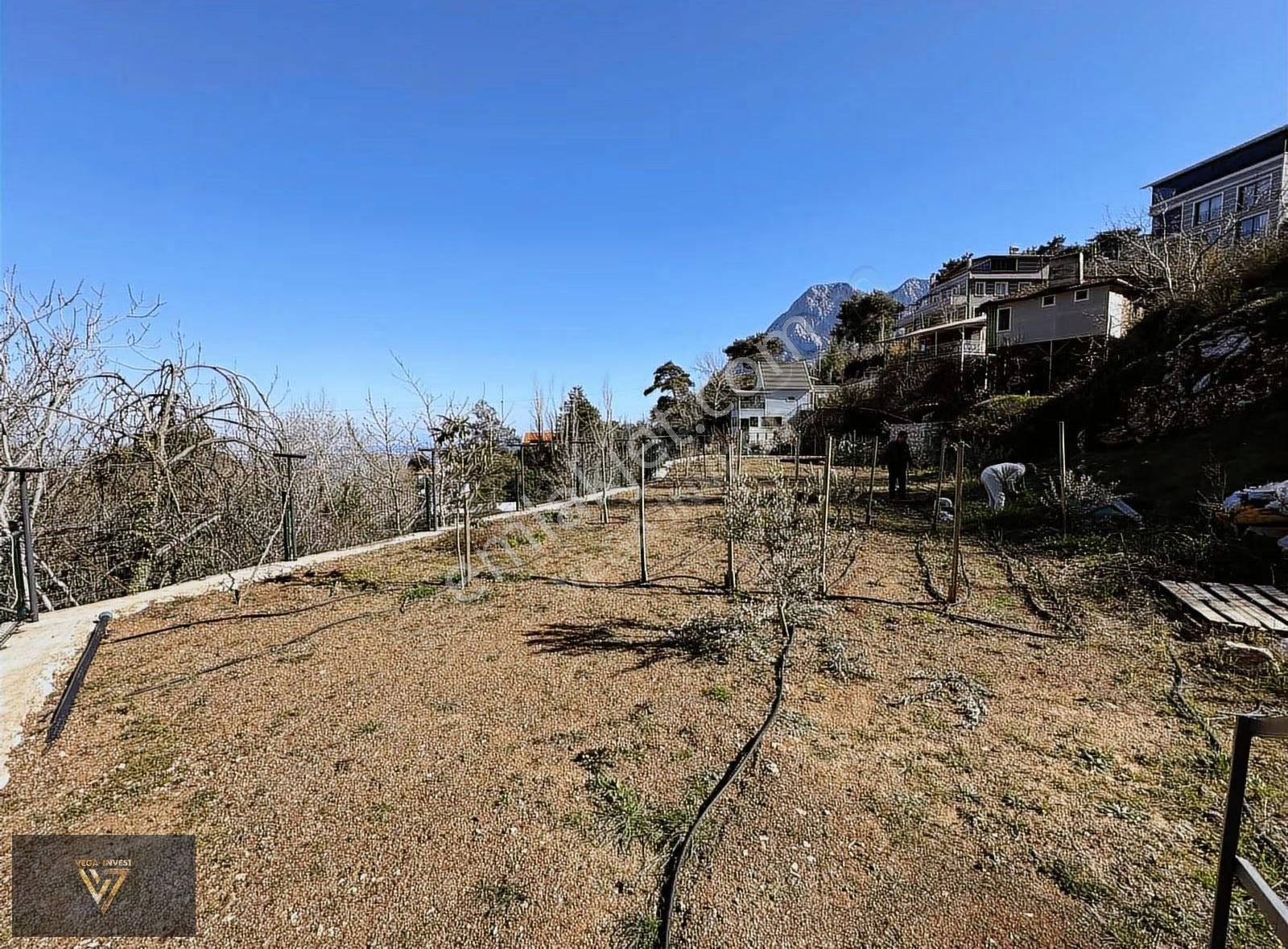 Geyikbayırında Bahçesinden Şelale Akan Antalya Manzaralı Yazlık - Görsel 13