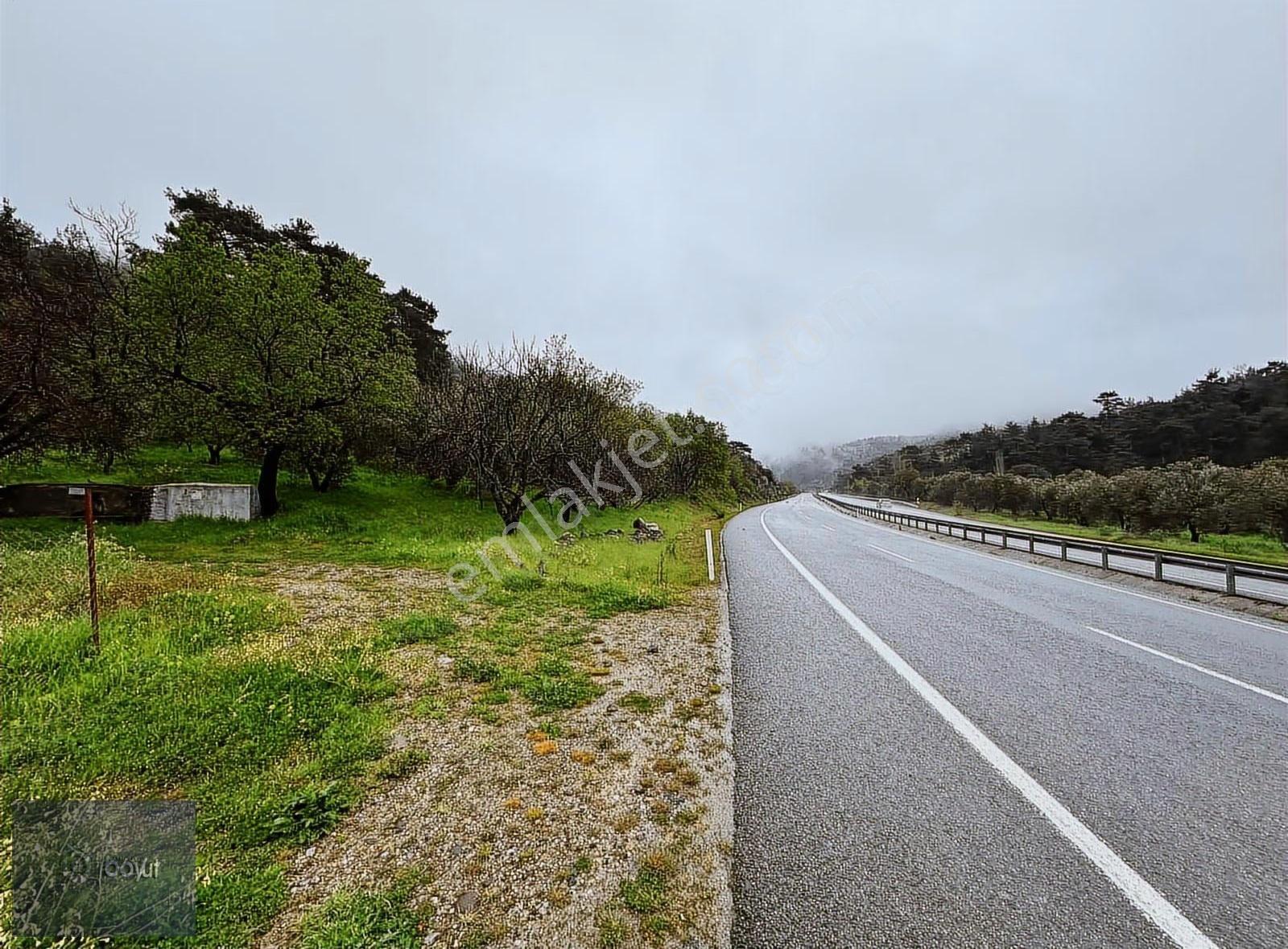 Boyut'tan Balıkesır Edremıt Asfalta Cephe Satılık Zeytınlık - Görsel 18