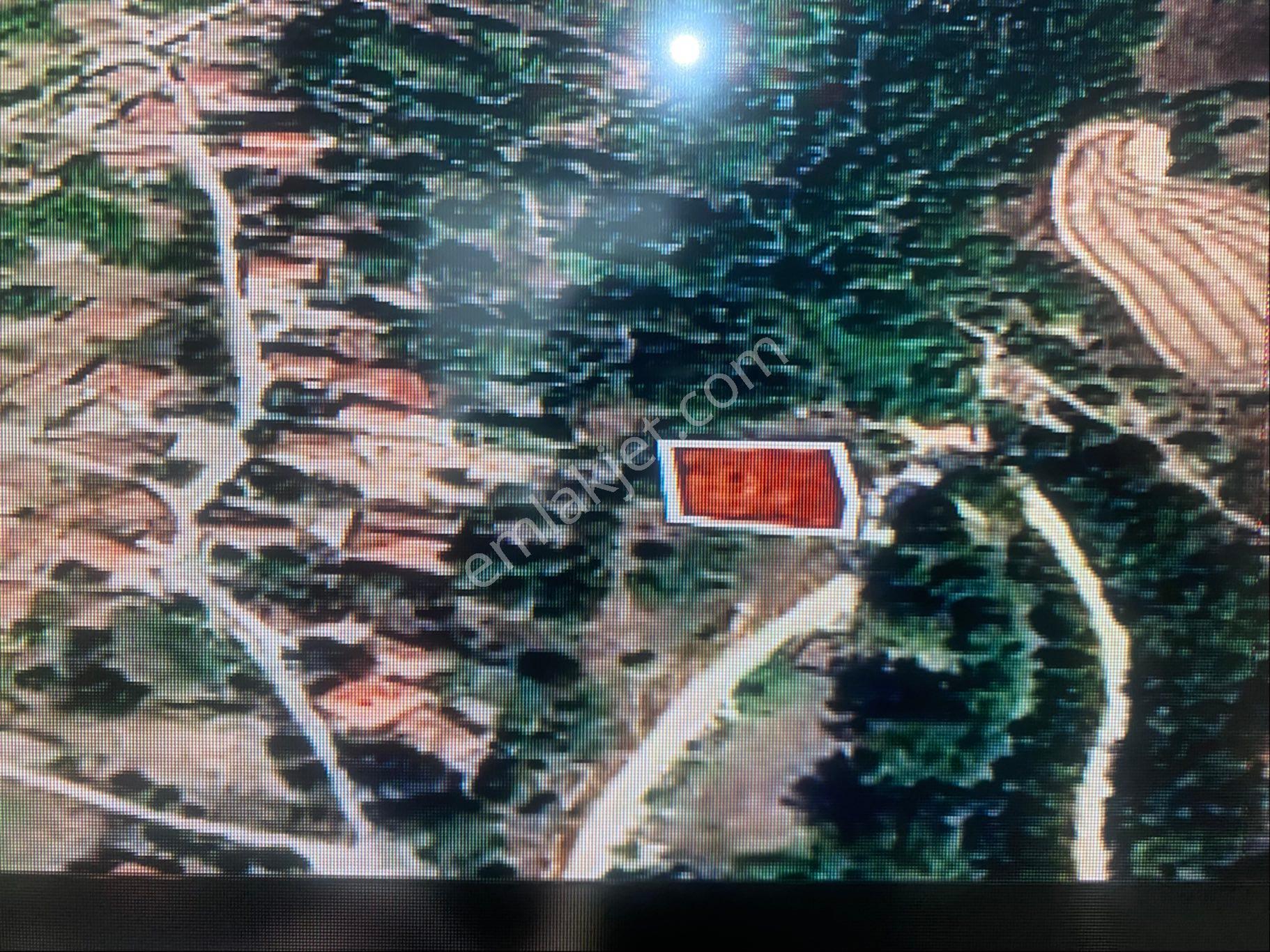 Serdaroğlundan Evrencik'fırsat 800 Metre Tek Tapu Arsa - Görsel 3
