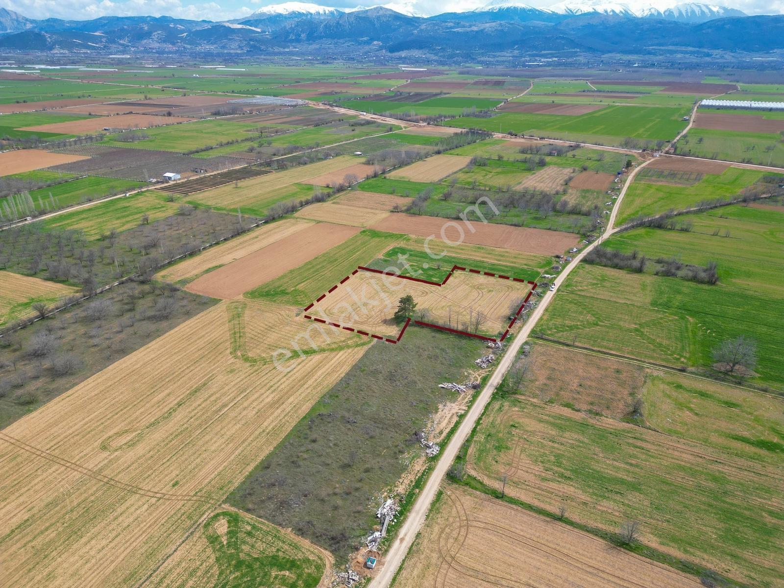 İslamköyde Yolu Açık Verimli Kızıltoprak Satılık Tarla !! - Görsel 14