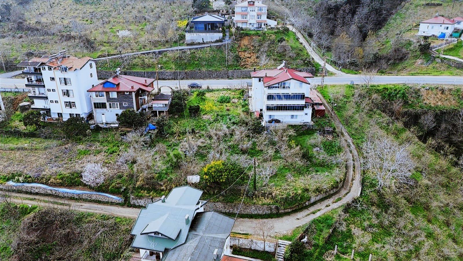 Perşembe Kaleyakada Denize Komşu Konumda 437 M² İmarlı Arsa! - Görsel 2