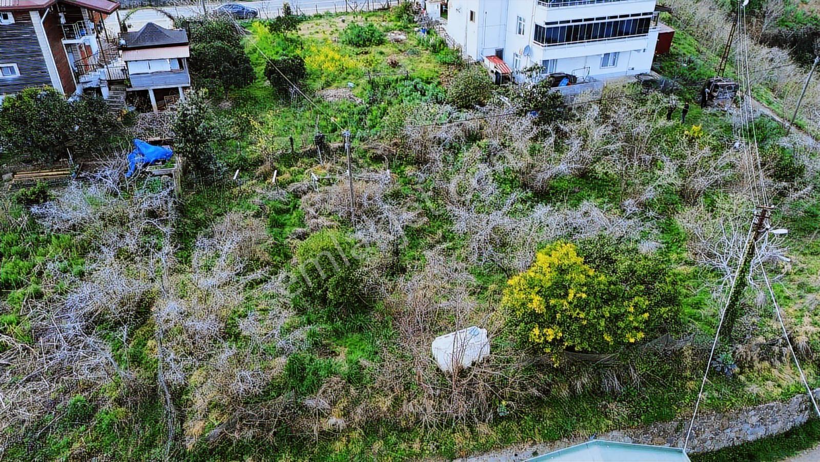 Perşembe Kaleyakada Denize Komşu Konumda 437 M² İmarlı Arsa! - Görsel 7