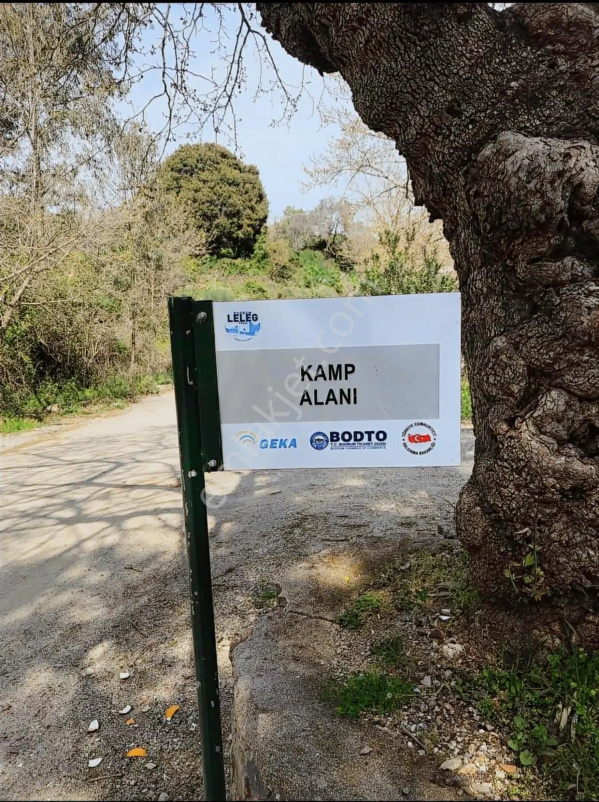 Bodrum Dereköy Satılık Arazi - Görsel 5