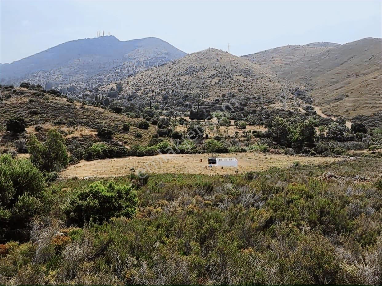 Bodrum Dereköy Satılık Arazi - Görsel 7