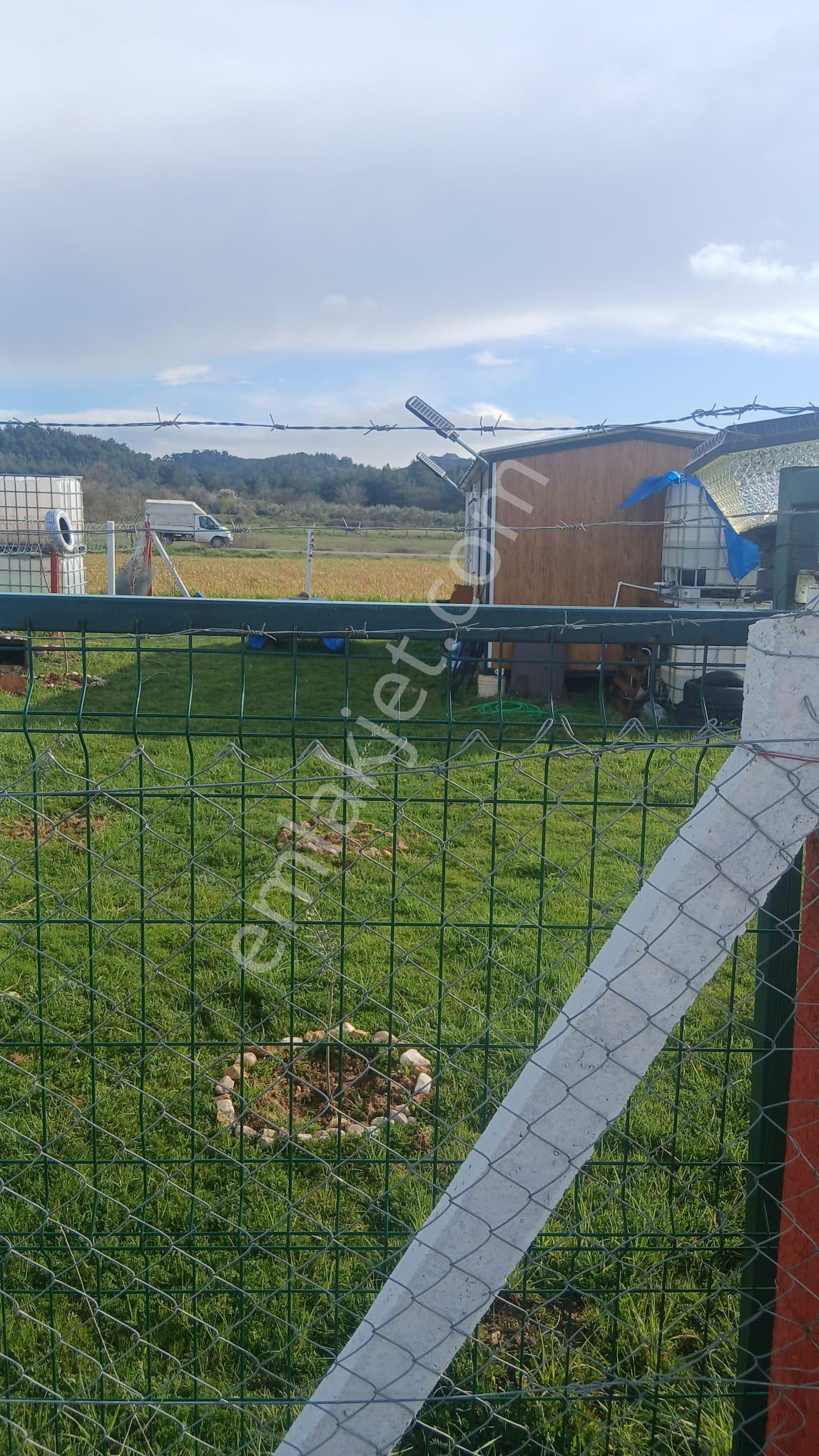 Beyaz Gayrimenkulden Osmancalı Mh Fırsat Hobi Bahçesi - Görsel 10