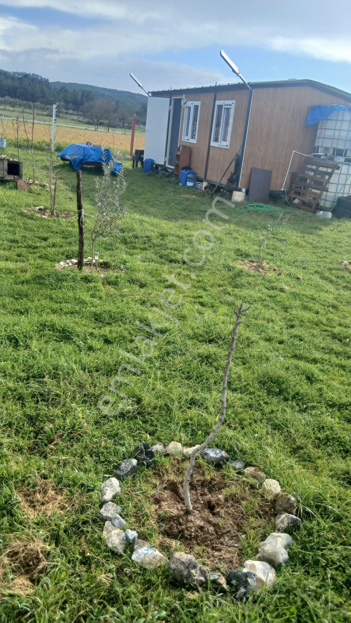 Beyaz Gayrimenkulden Osmancalı Mh Fırsat Hobi Bahçesi - Görsel 15
