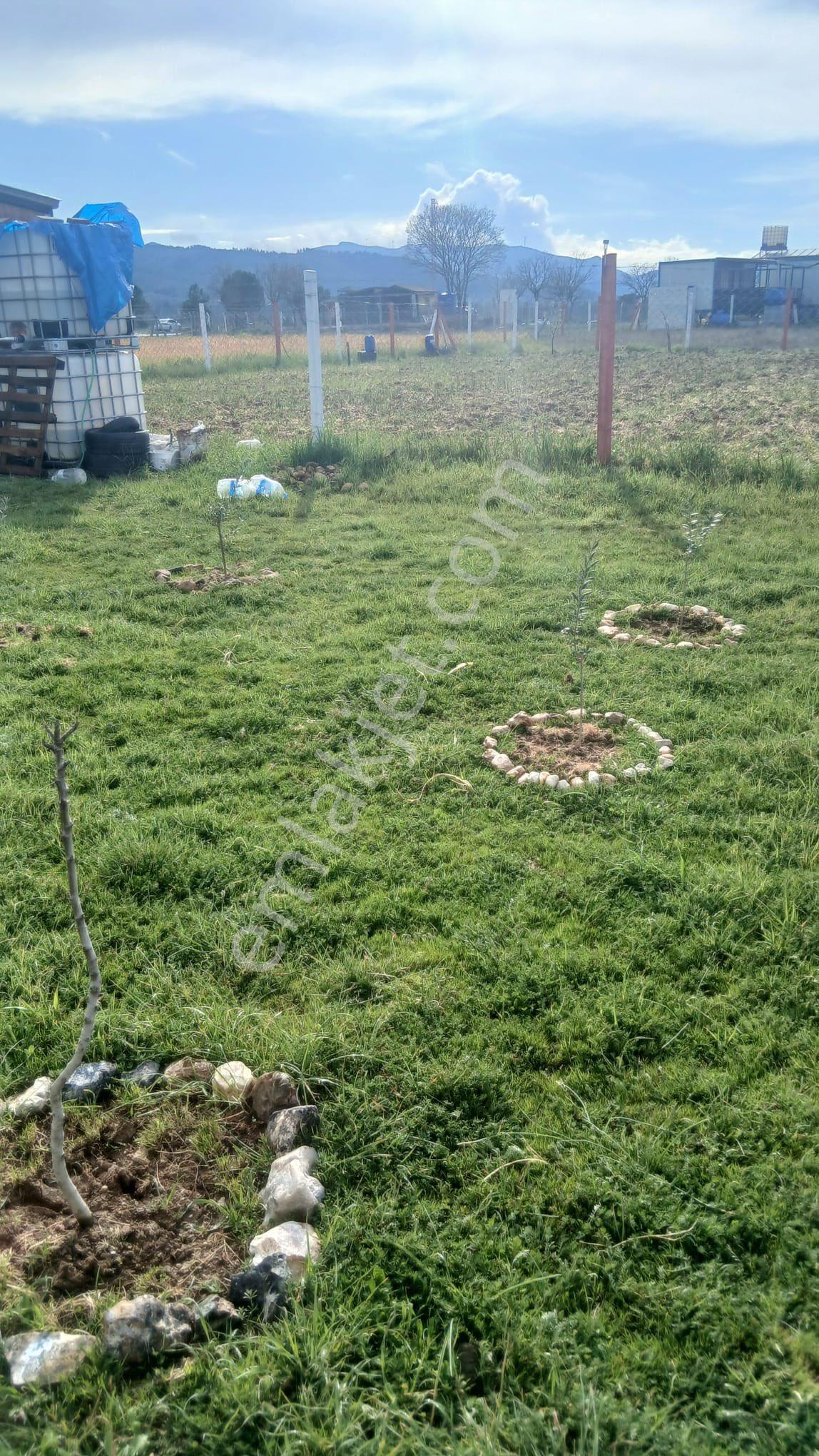 Beyaz Gayrimenkulden Osmancalı Mh Fırsat Hobi Bahçesi - Görsel 7