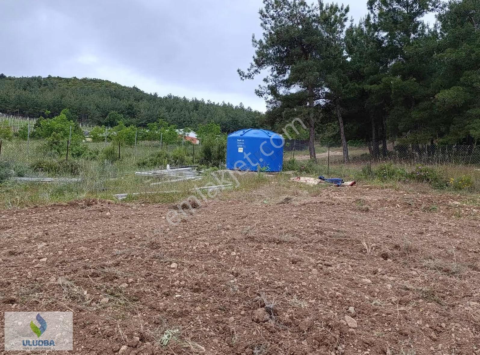 Uluoba'dan Bilecikte Hazır Kurulu Bahçe - Görsel 30