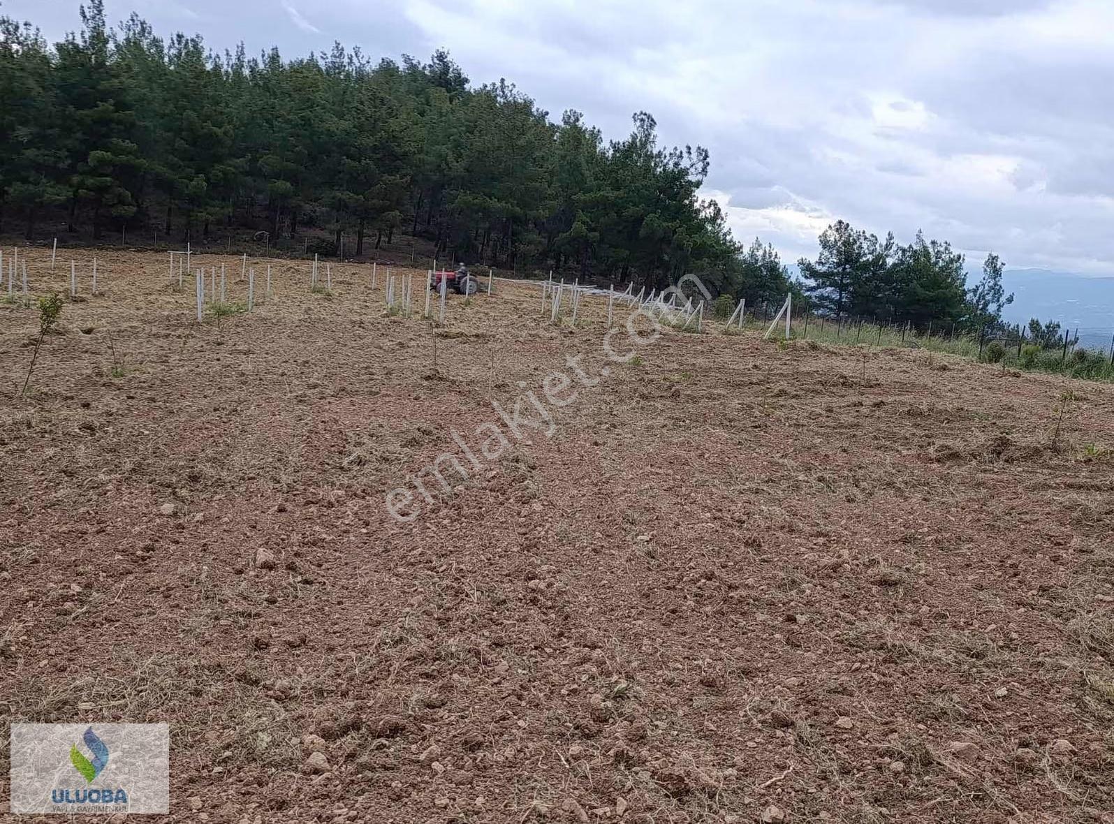 Uluoba'dan Bilecikte Hazır Kurulu Bahçe - Görsel 6