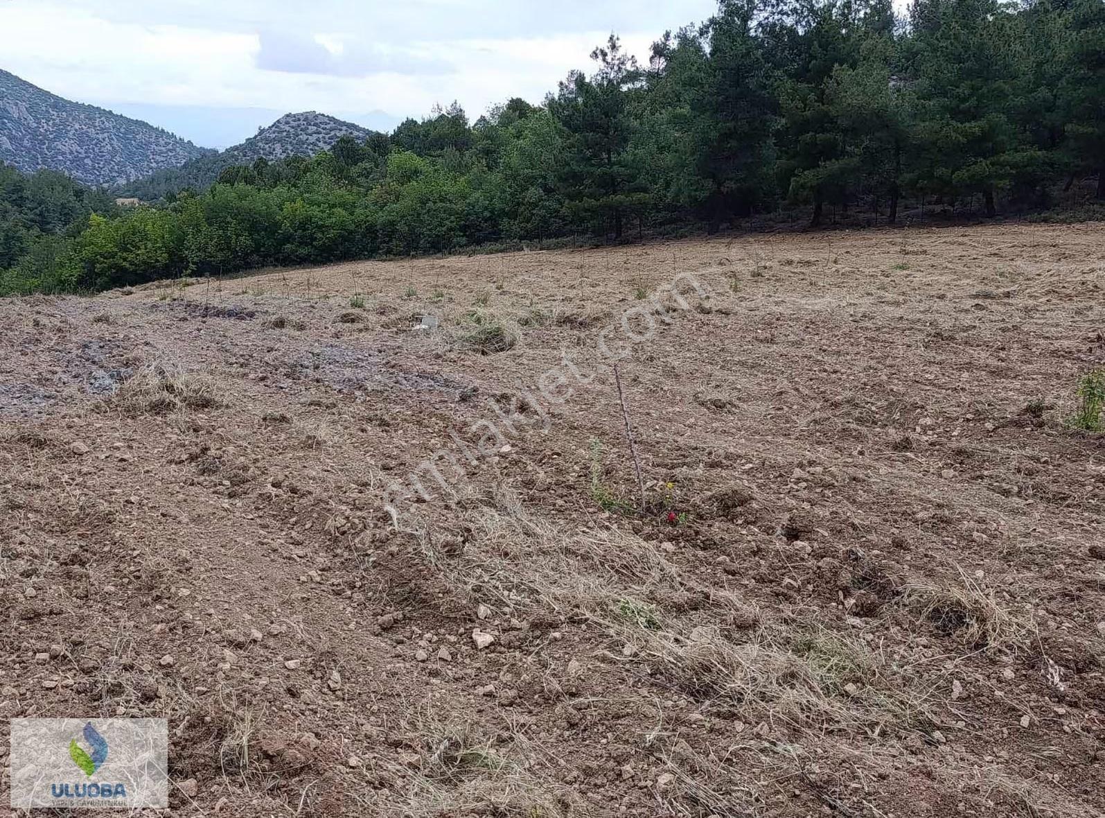 Uluoba'dan Bilecikte Hazır Kurulu Bahçe - Görsel 10