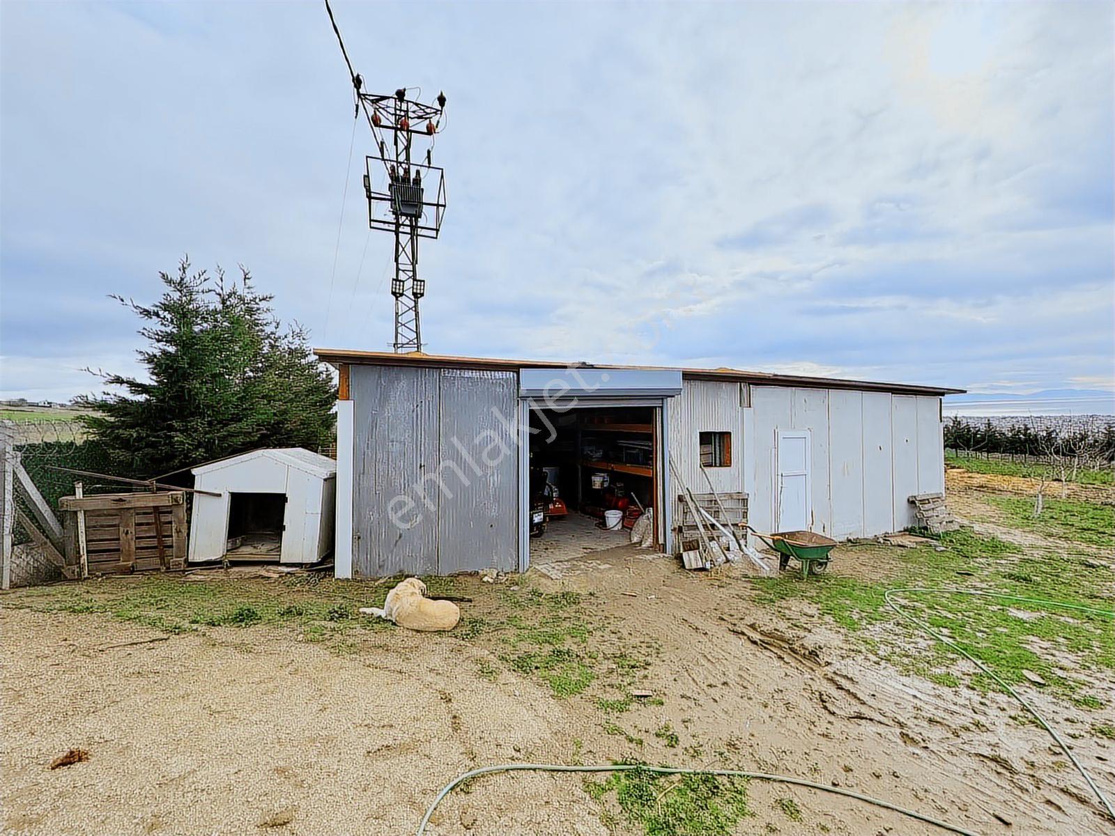 Yeniçiftlik'te 20500m2 Deniz Manzaralı Çiftlik Ve Meyve Bahçesi - Görsel 22