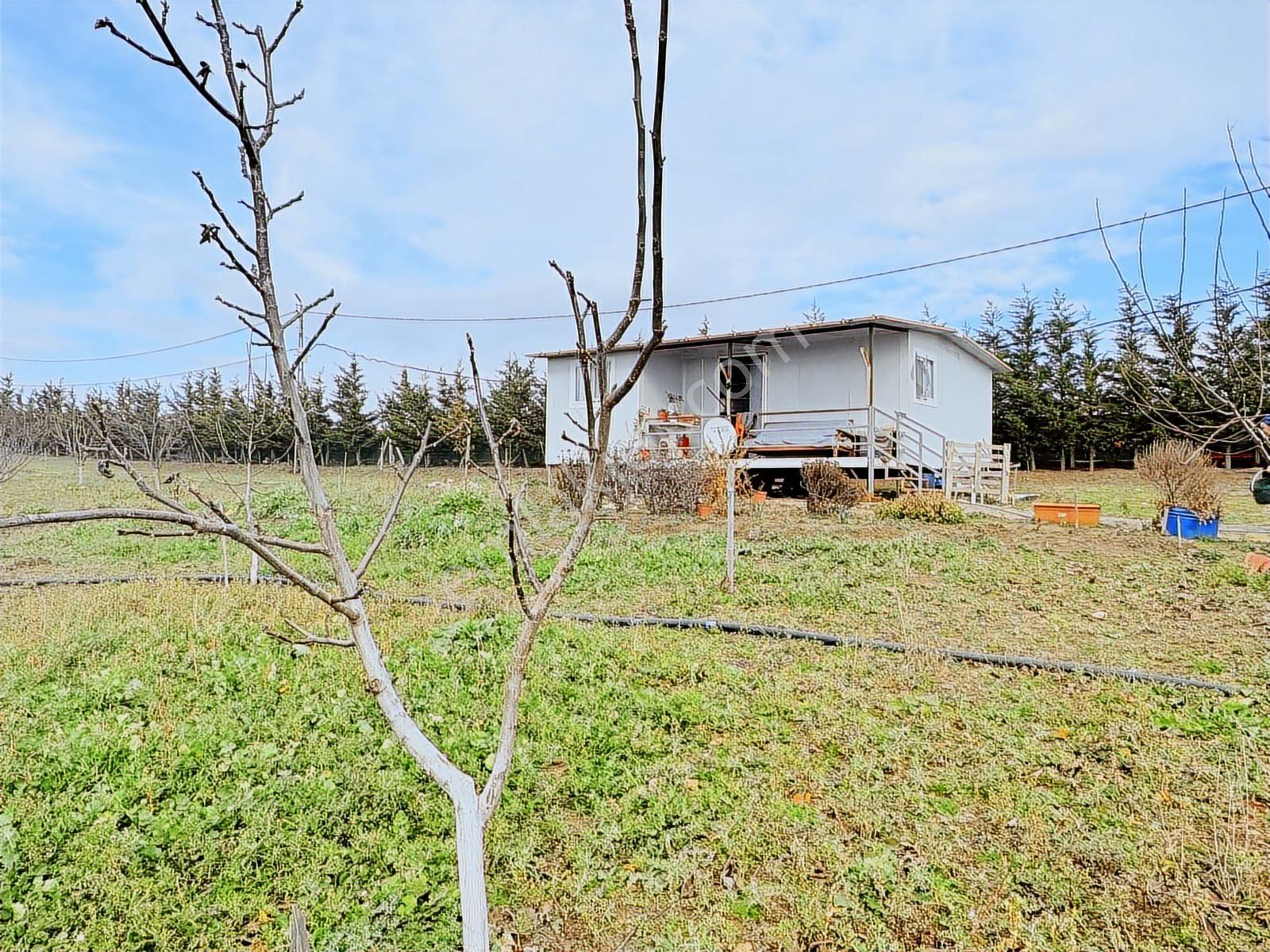 Yeniçiftlik'te 20500m2 Deniz Manzaralı Çiftlik Ve Meyve Bahçesi - Görsel 8