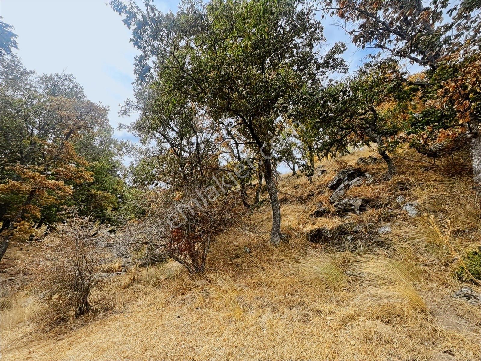 Atuğ Emlaktan Pınarhisar Çayırdere Köyünde Satılık Tarla - Görsel 11