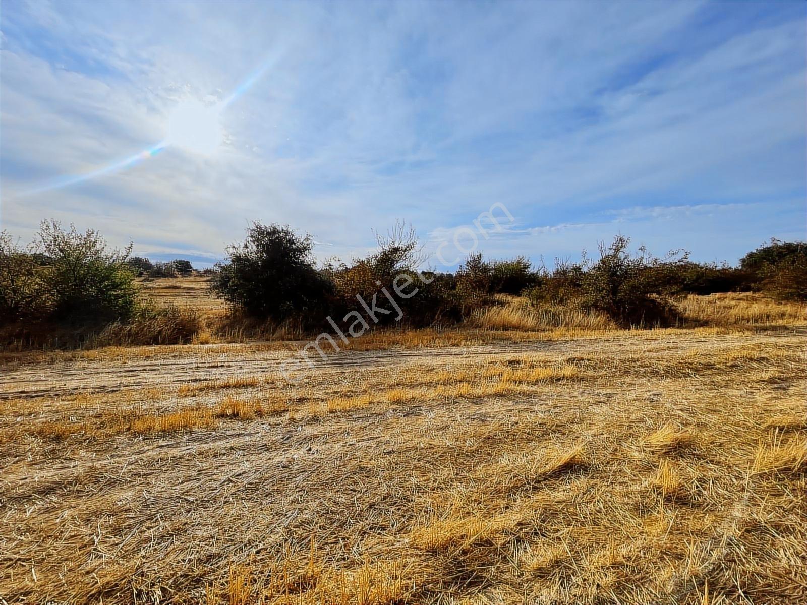 Atuğ Emlak Tan 6861 M2 Yatırımlık Arazi - Görsel 5