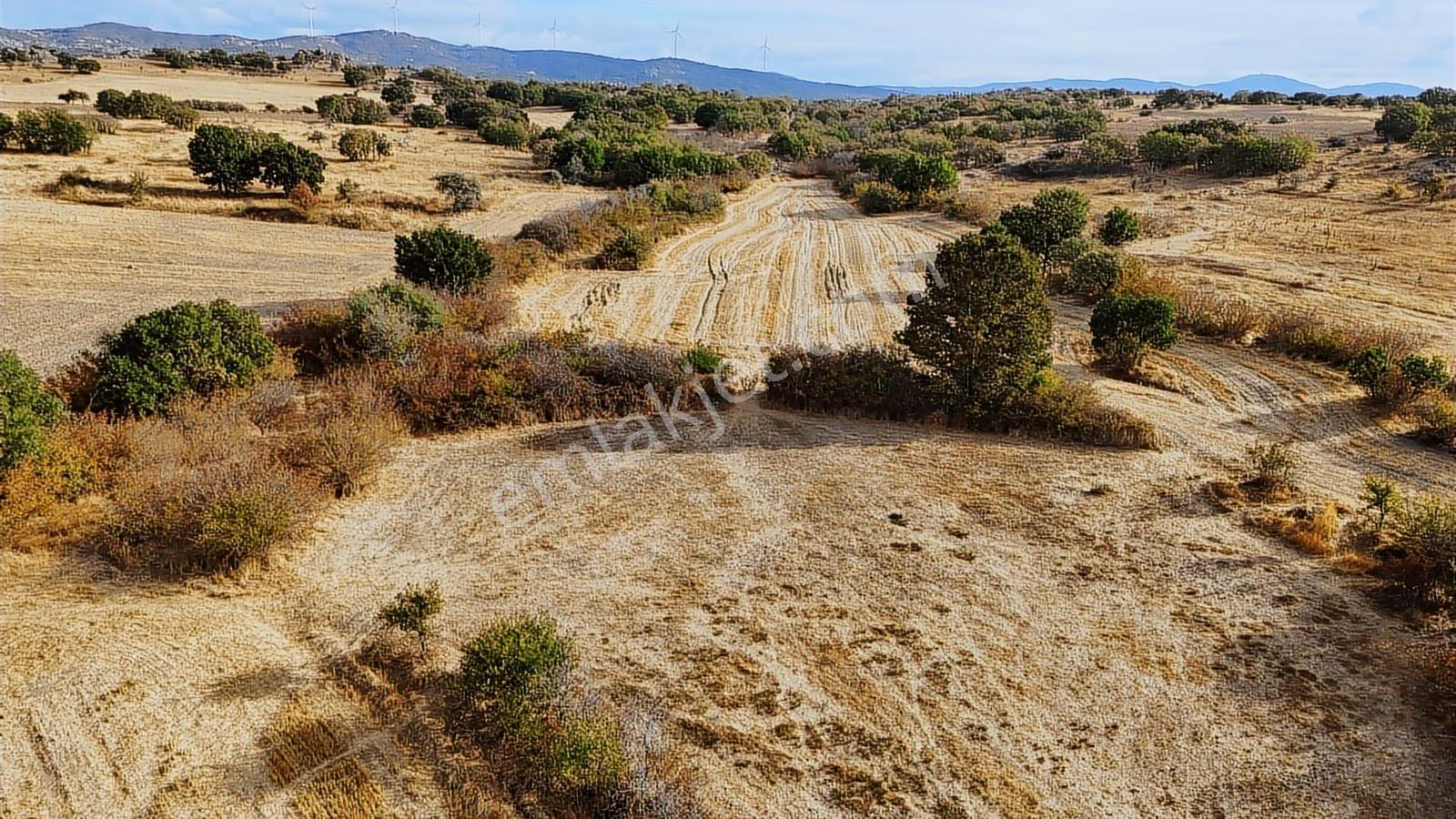 Atuğ Emlak Tan 6861 M2 Yatırımlık Arazi - Görsel 13