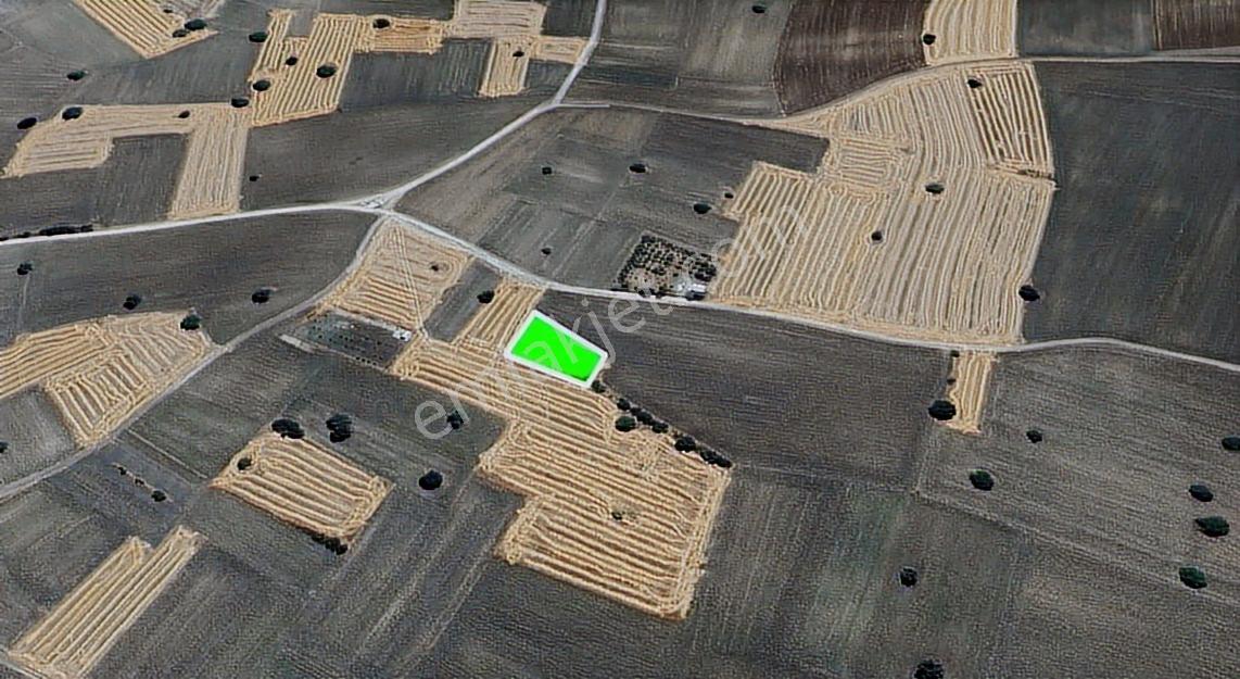 Atuğ Emlaktan Pınarhisar Dere Mahallesinde 1580 M² Satılık Tarla - Görsel 6