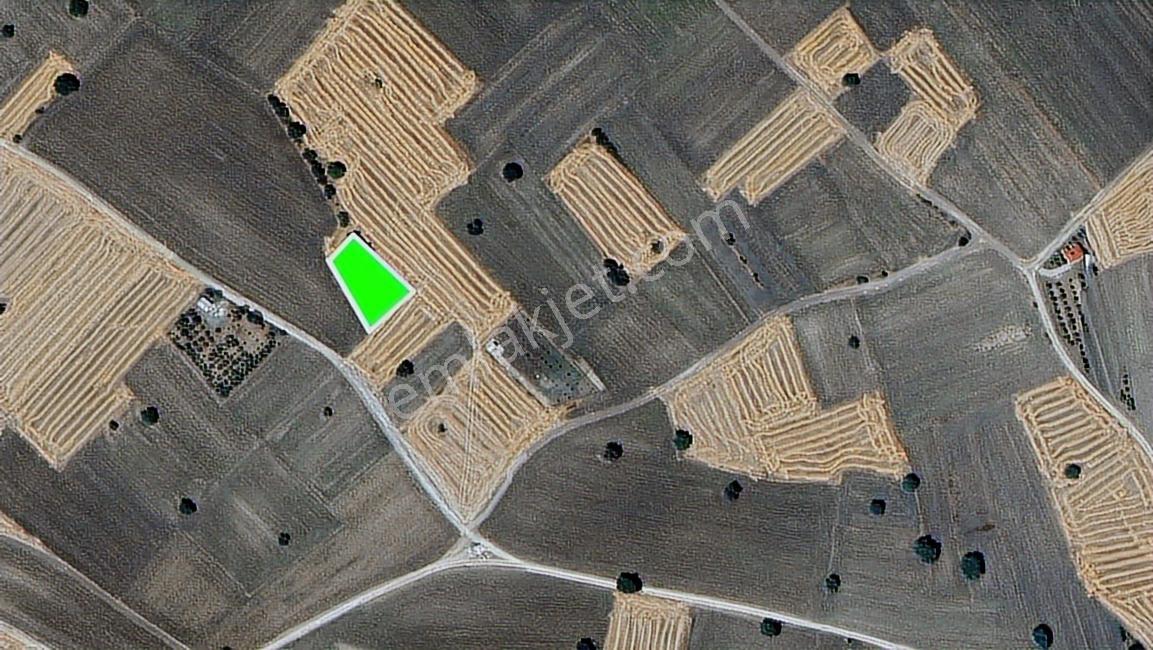 Atuğ Emlaktan Pınarhisar Dere Mahallesinde 1580 M² Satılık Tarla - Görsel 7