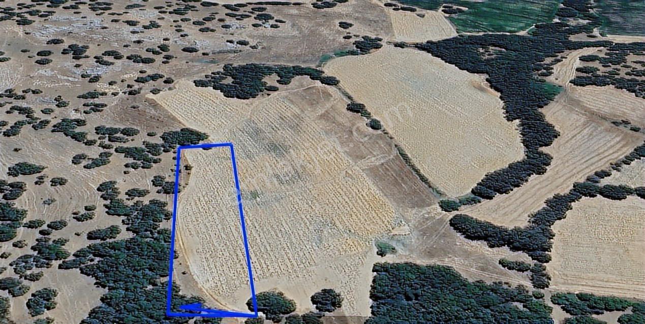 Atuğ Emlak Tan Pınarhisar Kurudere Köyü 8900 M2 Yatırımlık Arazi - Görsel 4