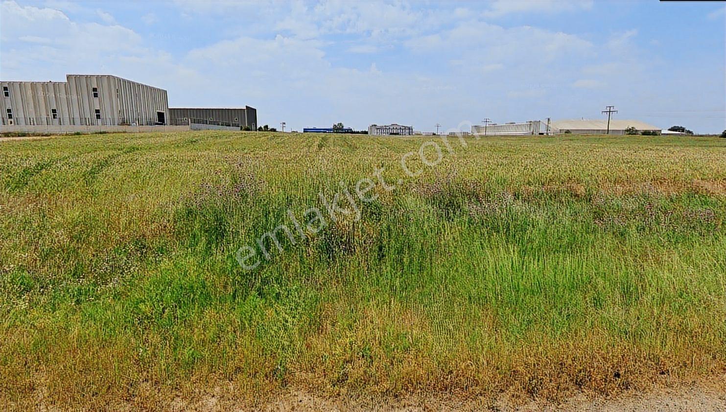 Turyap Hürriyetten Ergene Velimeşe De 5.552 M2 Kiralık Arsa - Görsel 3