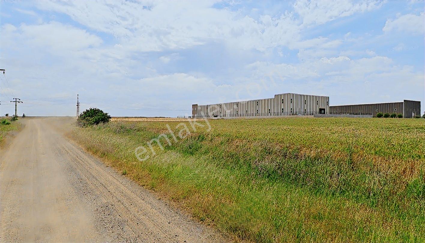 Turyap Hürriyetten Ergene Velimeşe De 5.552 M2 Kiralık Arsa - Görsel 5