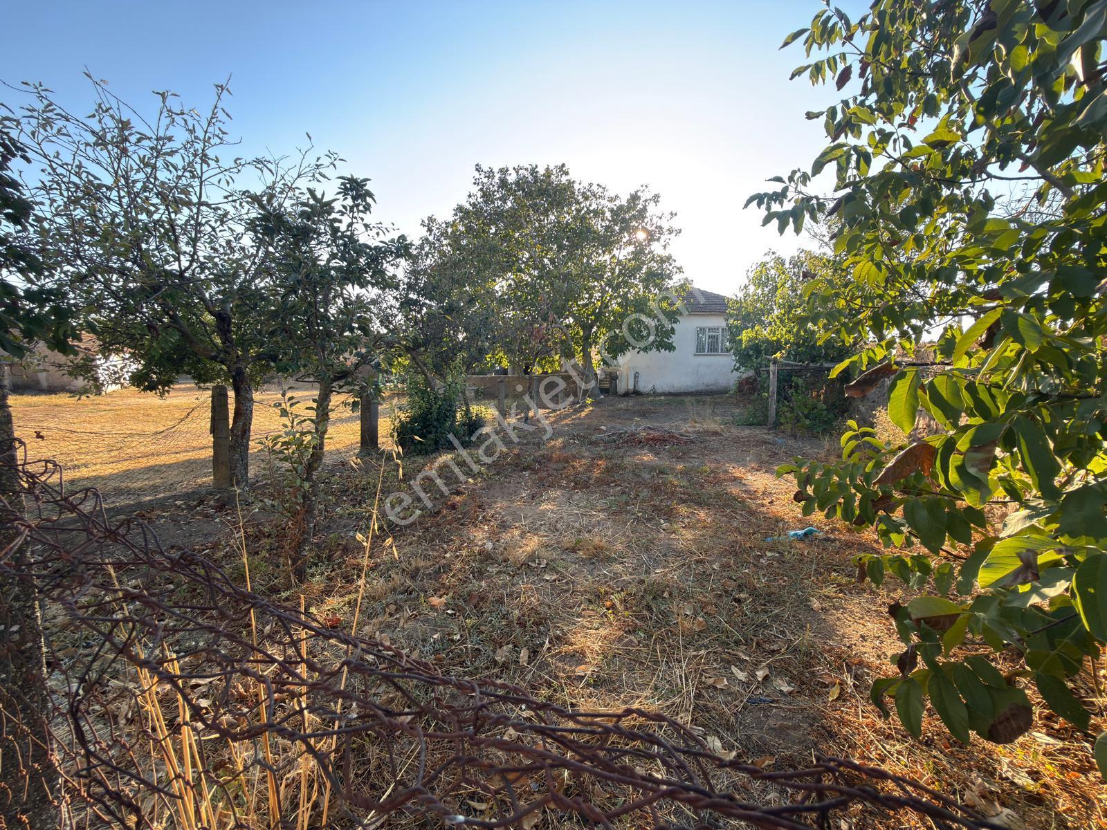 Edirne Lalapaşa Sarıdanişment Köyü Satılık Köy Evi - Görsel 33