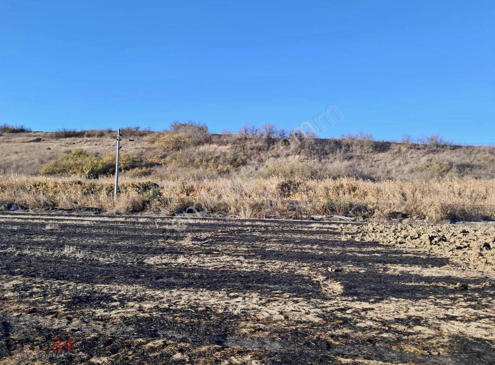 Edirne Uzunköprü Yeniköy'de 10 Dönüm Tek Tapu Yatırımlık Tarla - Görsel 2