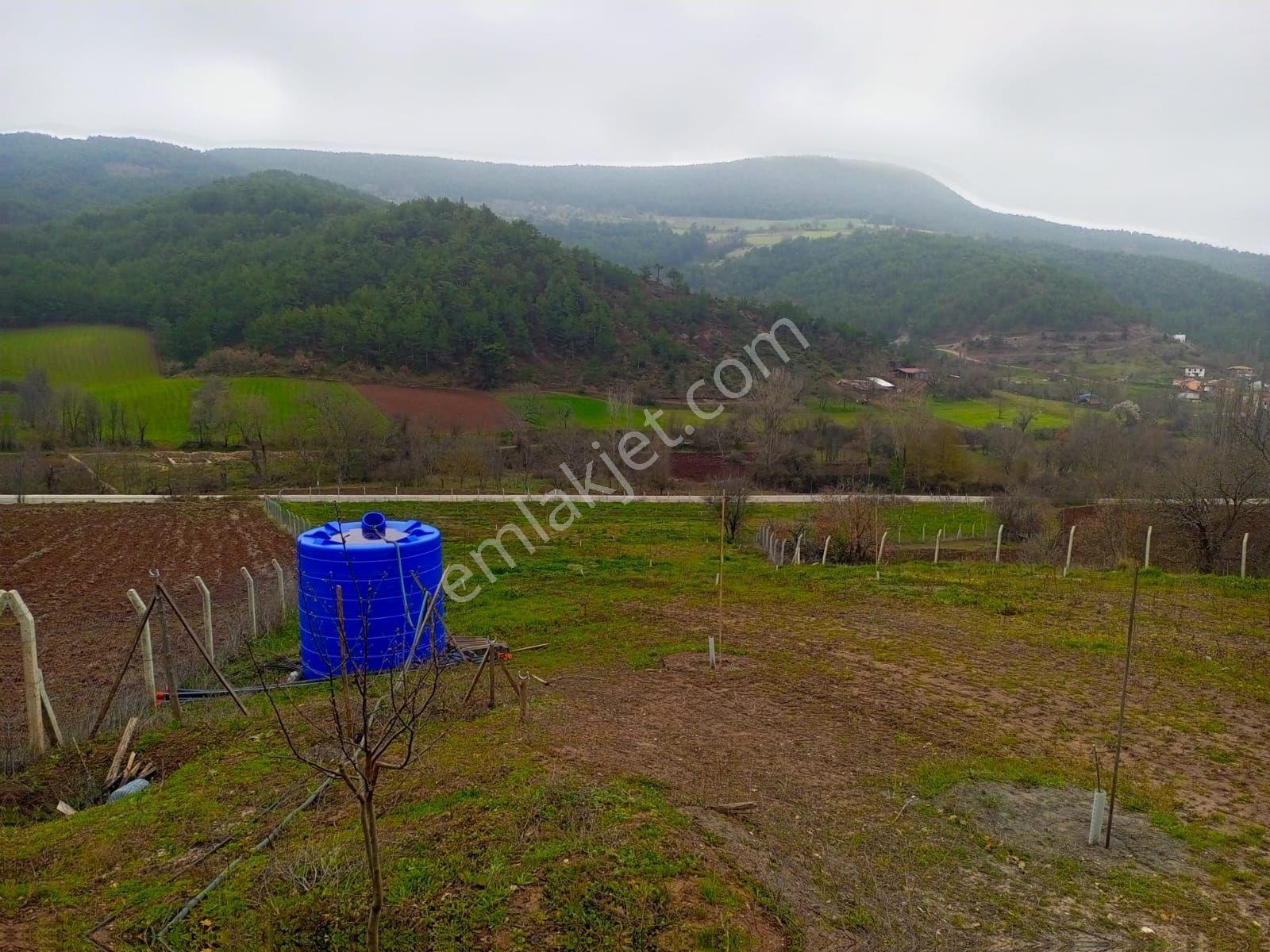 Yatırımlık...bilecik Gölpazarında 6780 M2 (araç Takaslı) Bahçe - Görsel 8