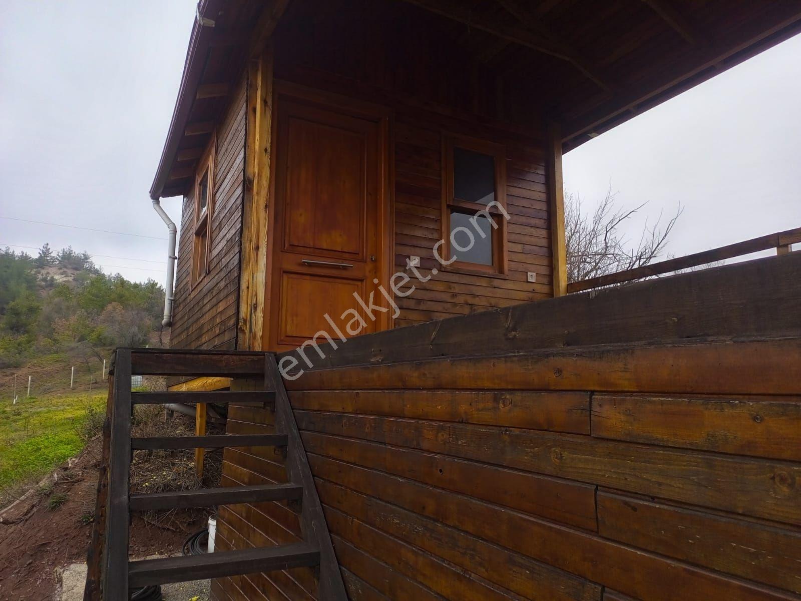 Yatırımlık...bilecik Gölpazarında 6780 M2 (araç Takaslı) Bahçe - Görsel 3