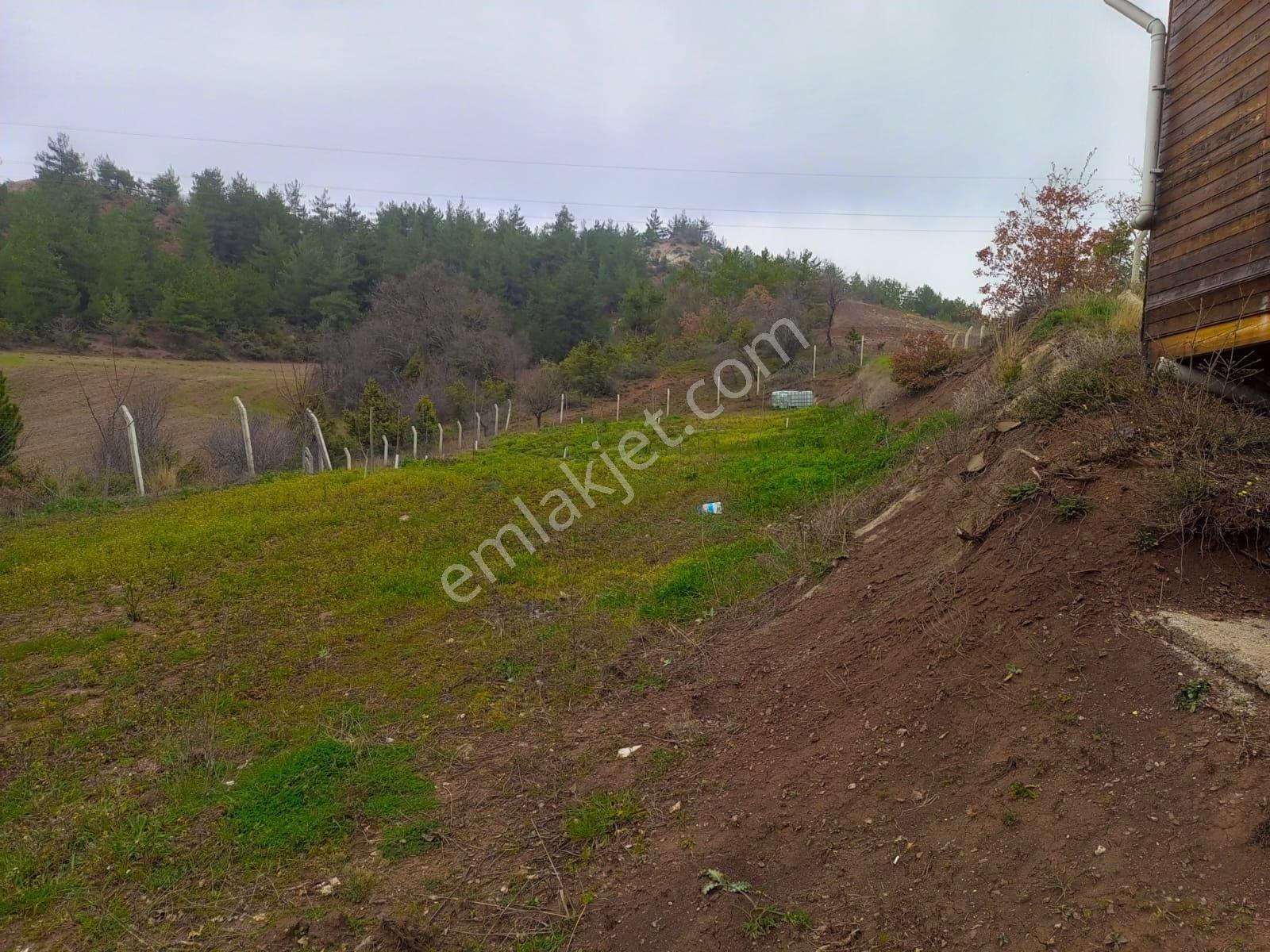 Yatırımlık...bilecik Gölpazarında 6780 M2 (araç Takaslı) Bahçe - Görsel 4