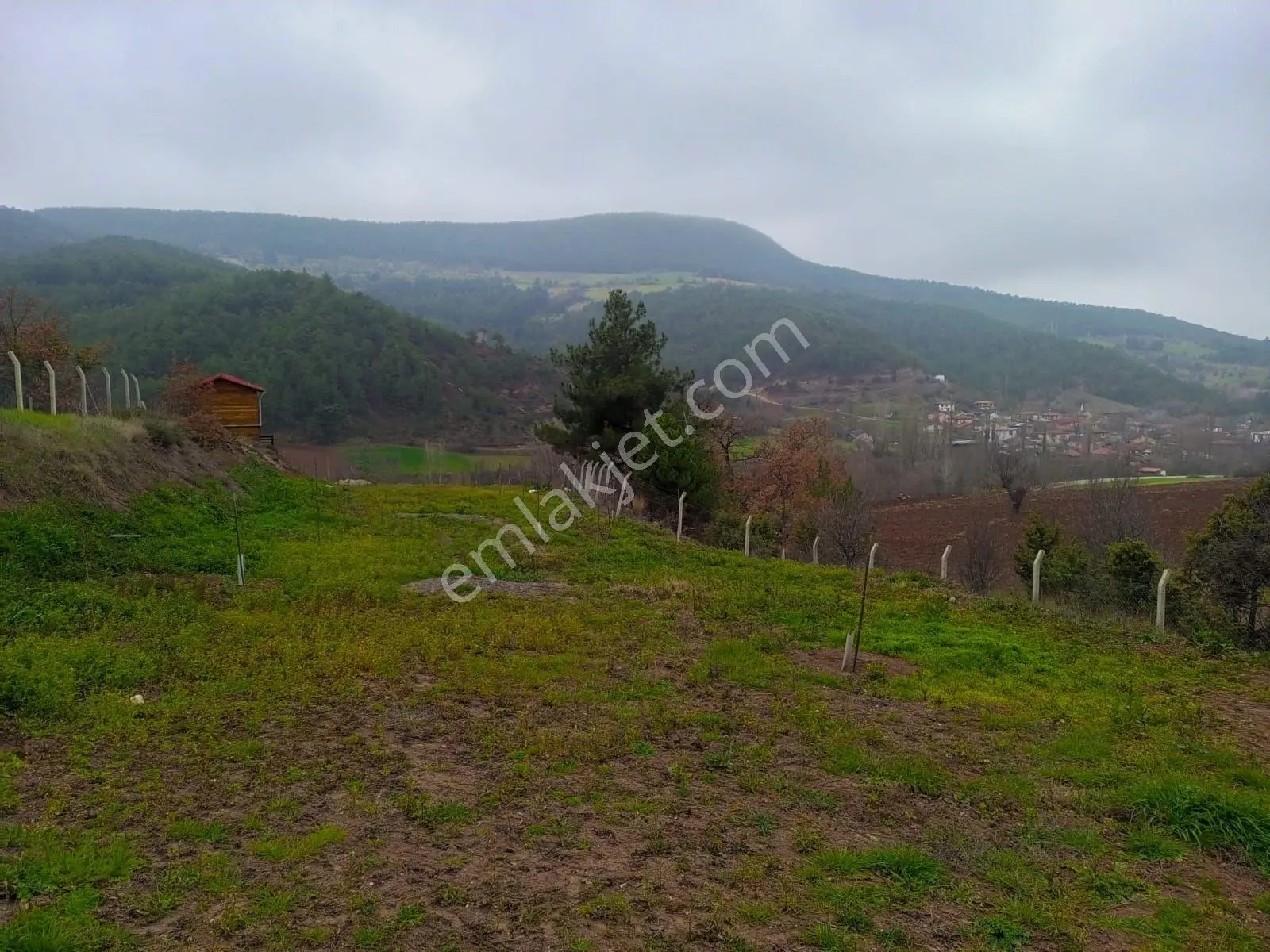 Yatırımlık...bilecik Gölpazarında 6780 M2 (araç Takaslı) Bahçe - Görsel 5