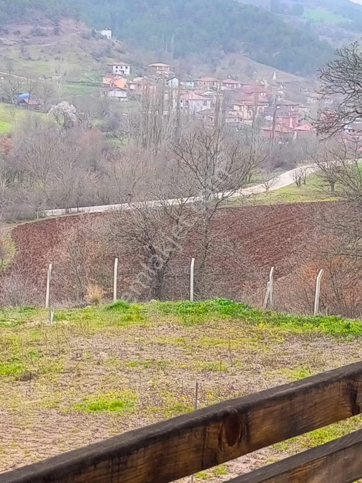 Yatırımlık...bilecik Gölpazarında 6780 M2 (araç Takaslı) Bahçe - Görsel 20