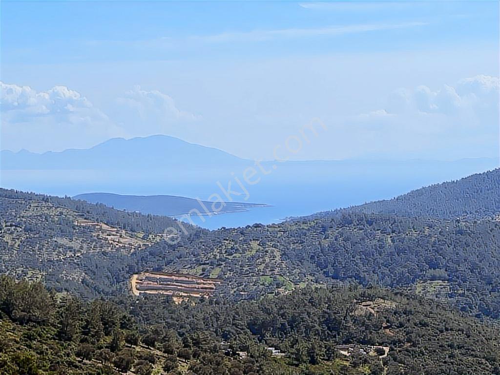Bodrum Yalıçiftlik'te Satılık Yatırımlık Arazi