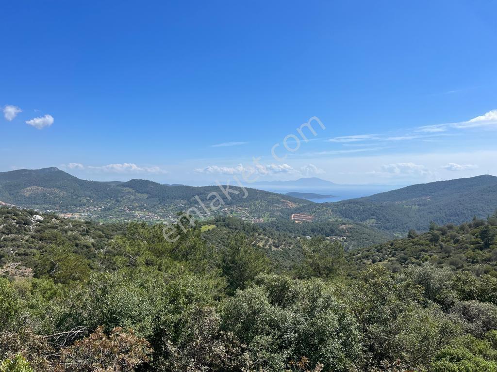 Bodrum Yalıçiftlik'te Satılık Yatırımlık Arazi - Görsel 11