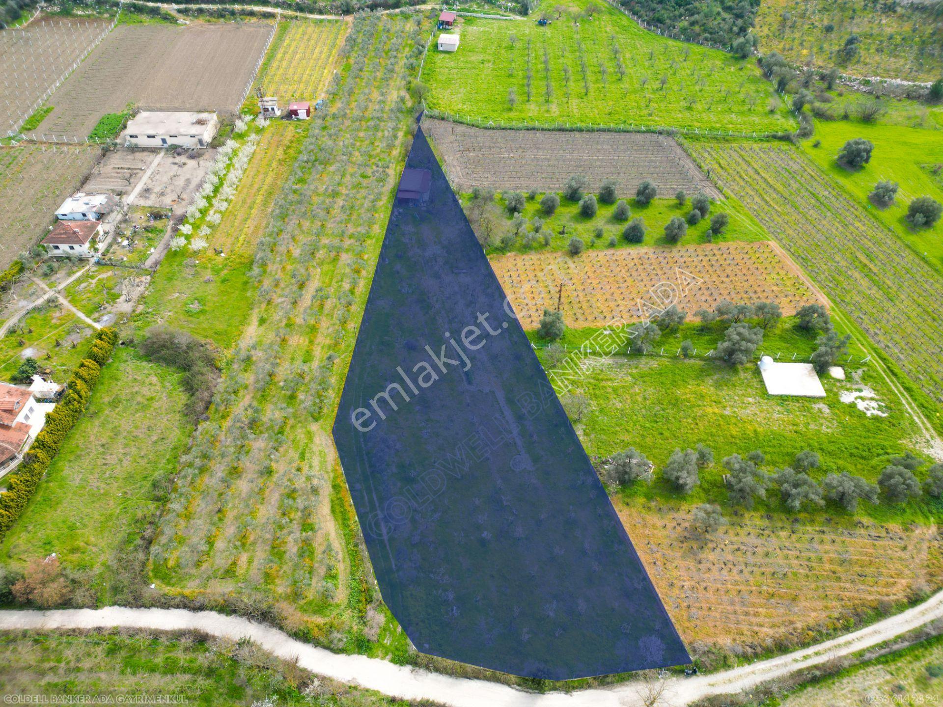 Kuşadası Kirazlıda Satılık Tarla | 3887 M² | İçinde 45 M² Yapı - Görsel 24