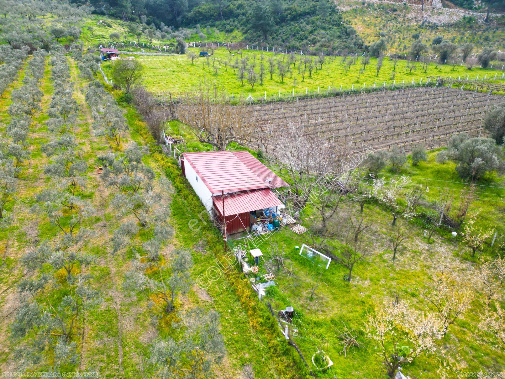 Kuşadası Kirazlıda Satılık Tarla | 3887 M² | İçinde 45 M² Yapı - Görsel 18