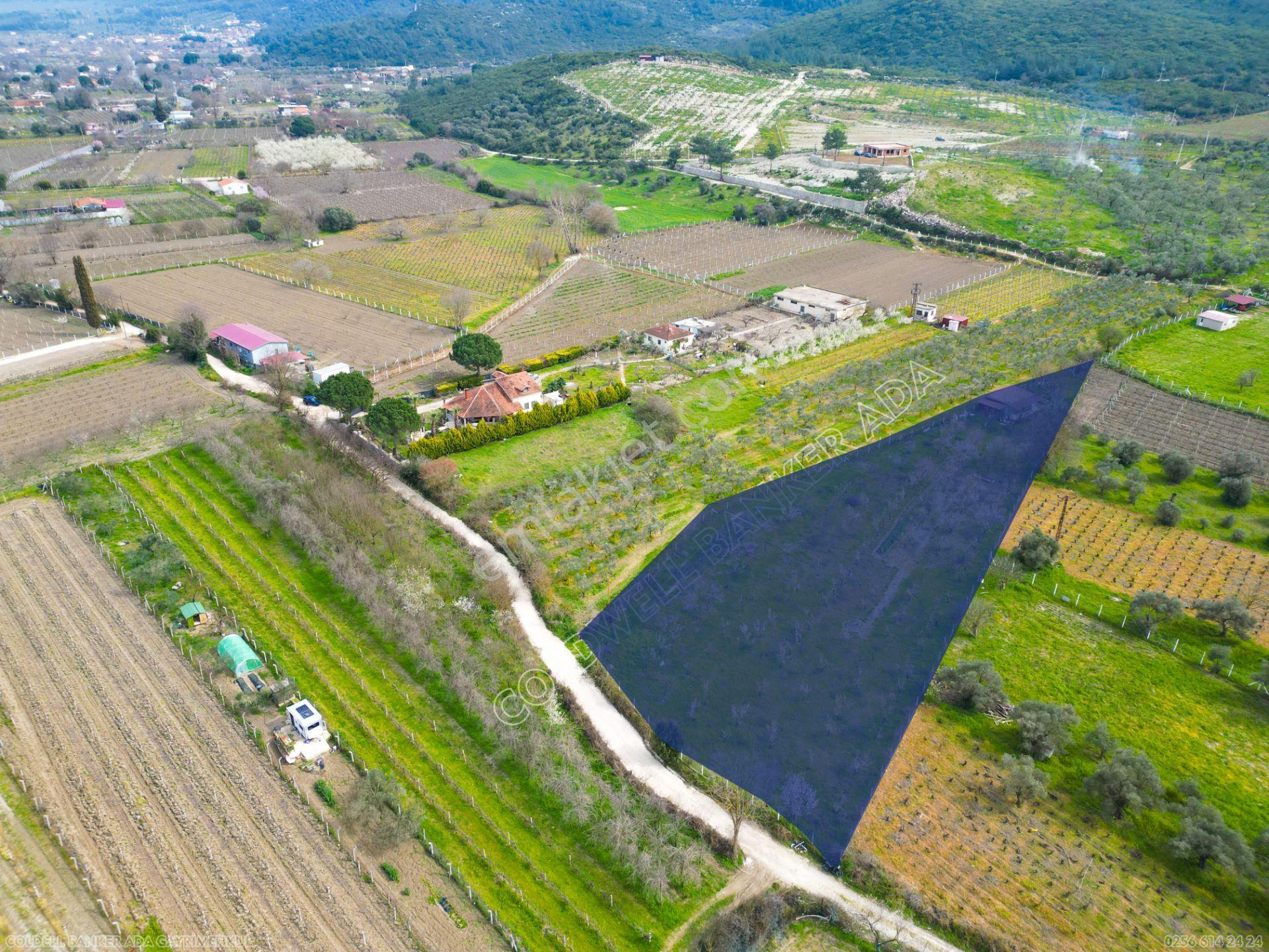 Kuşadası Kirazlıda Satılık Tarla | 3887 M² | İçinde 45 M² Yapı